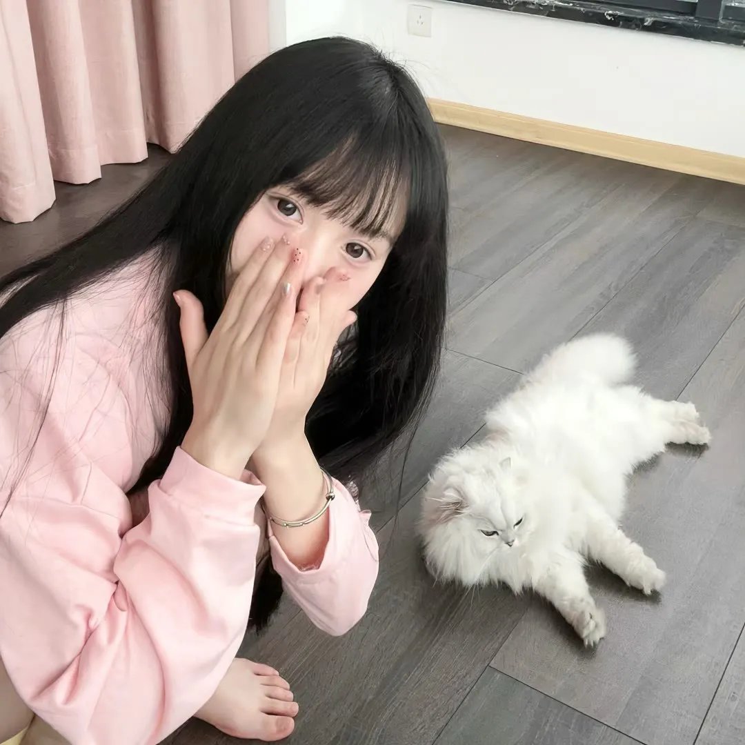 少年四大名捕粤语