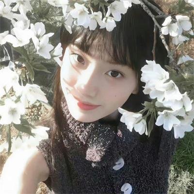 大卫的圣诞魔法